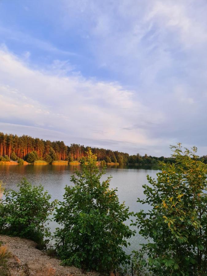 Willa Gościniec Rokitki Chojnow Zewnętrze zdjęcie